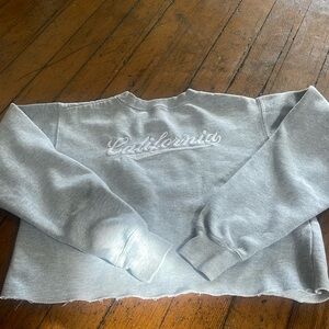 John galt Brandy Melville sweater.